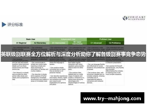 英联级别联赛全方位解析与深度分析助你了解各级别赛事竞争态势