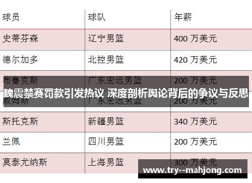 魏震禁赛罚款引发热议 深度剖析舆论背后的争议与反思