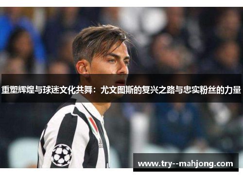 重塑辉煌与球迷文化共舞：尤文图斯的复兴之路与忠实粉丝的力量