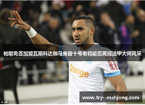 帕耶免签加盟瓦斯科达伽马身披十号老将能否再现法甲大师风采 帕耶免签加盟瓦斯科达伽马身披十号老将能否再现法甲大师风采