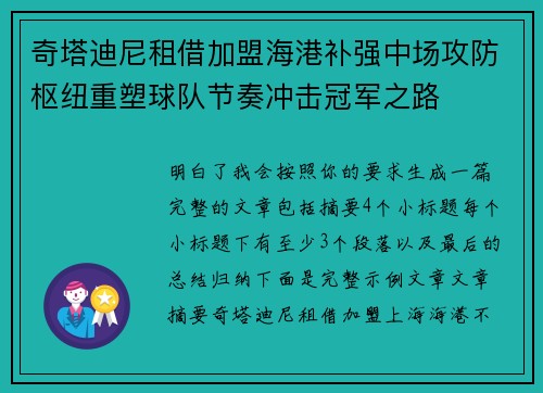 奇塔迪尼租借加盟海港补强中场攻防枢纽重塑球队节奏冲击冠军之路