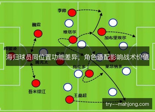 海归球员同位置功能差异,角色适配影响战术价值 海归球员同位置功能差异,角色适配影响战术价值